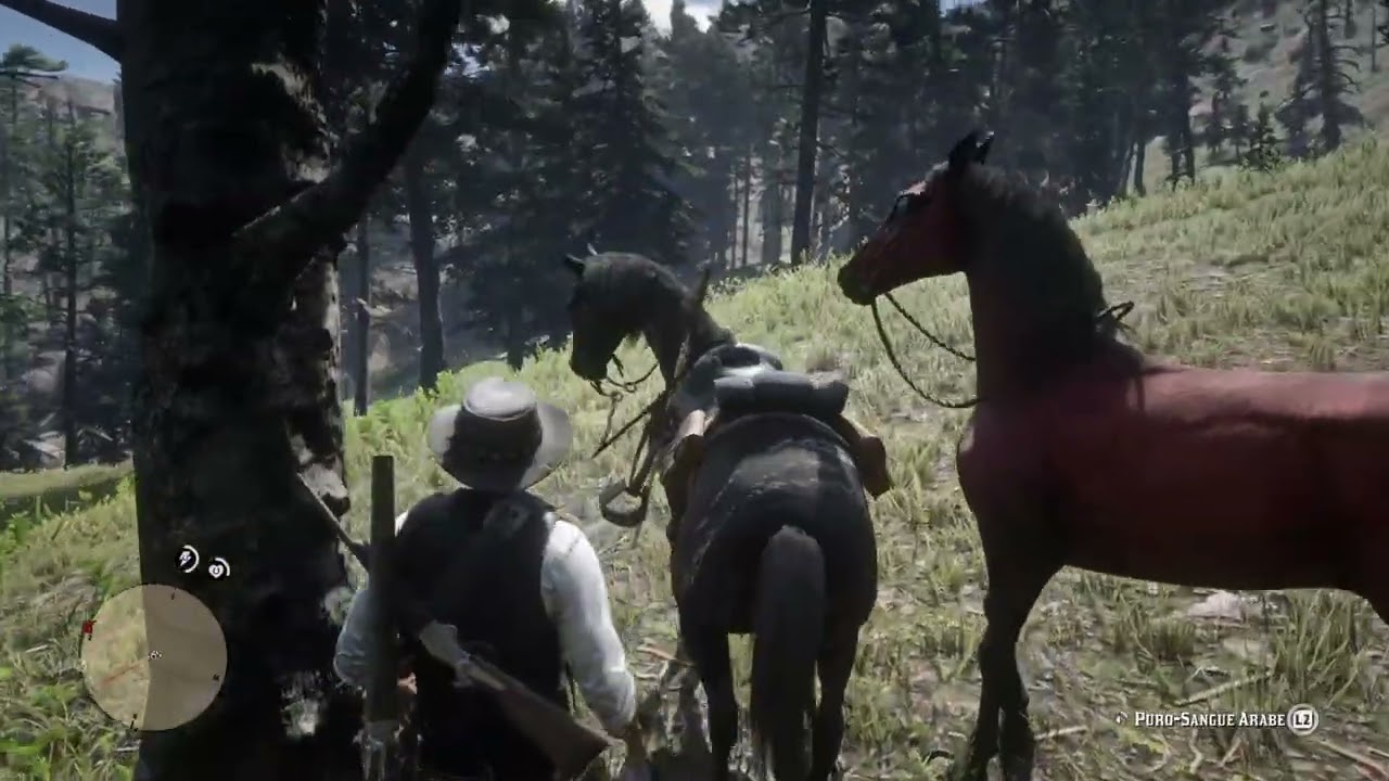 Red Dead Redemption 2_20260222154816