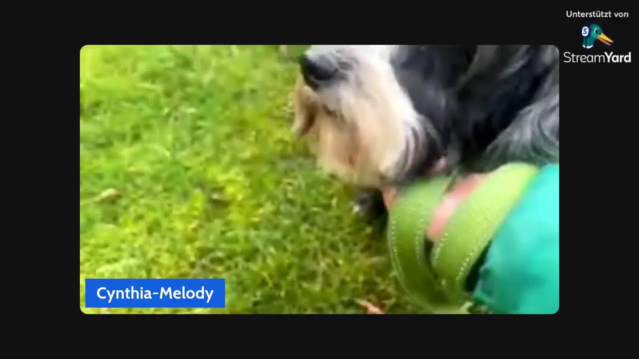 Samson walk walk