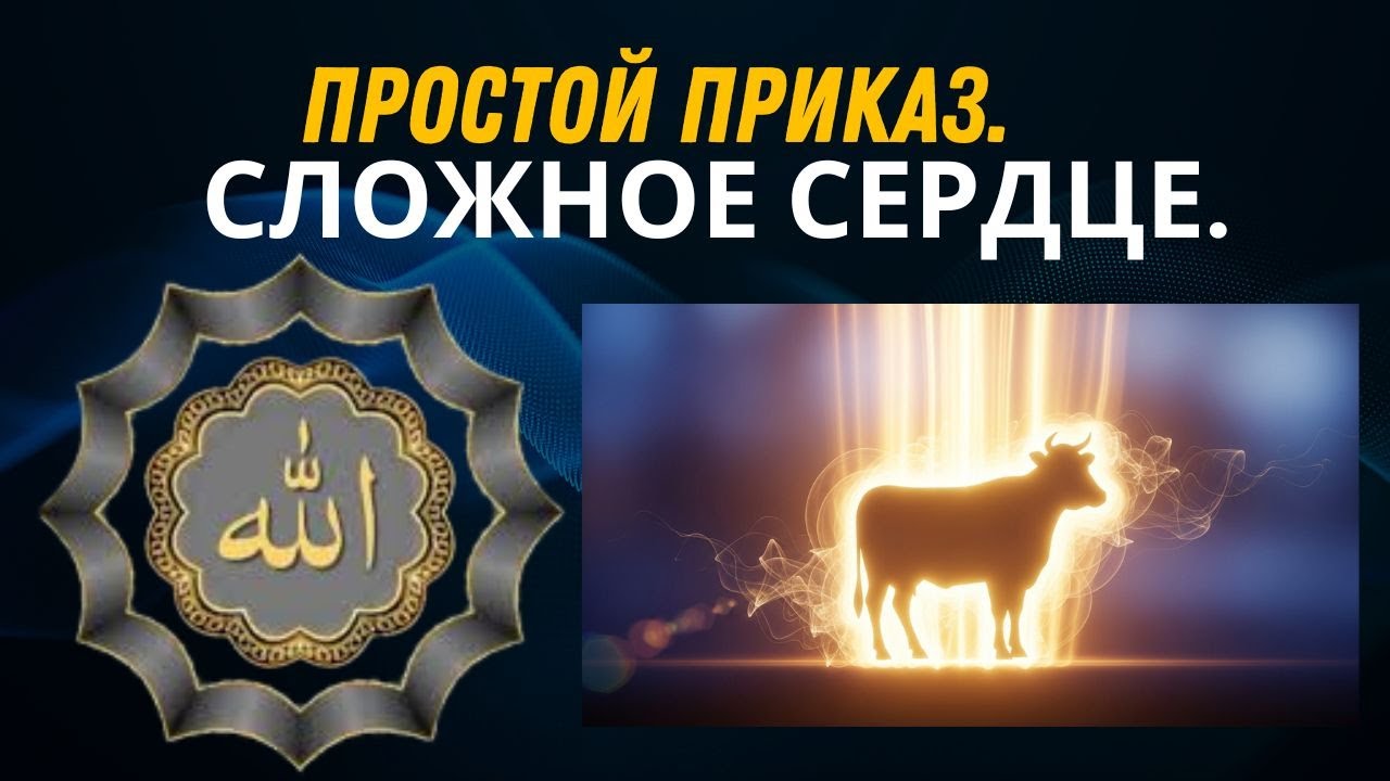 Почему Аллах назвал величайшую суру «Корова»? Скрытый смысл 😨2026