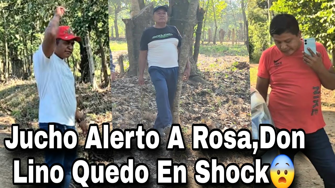 Don Lino Abrazado Al Arbol En Shock De Ver Asus Hijos Sacando Más Los Trapitos Al Sol 😢
