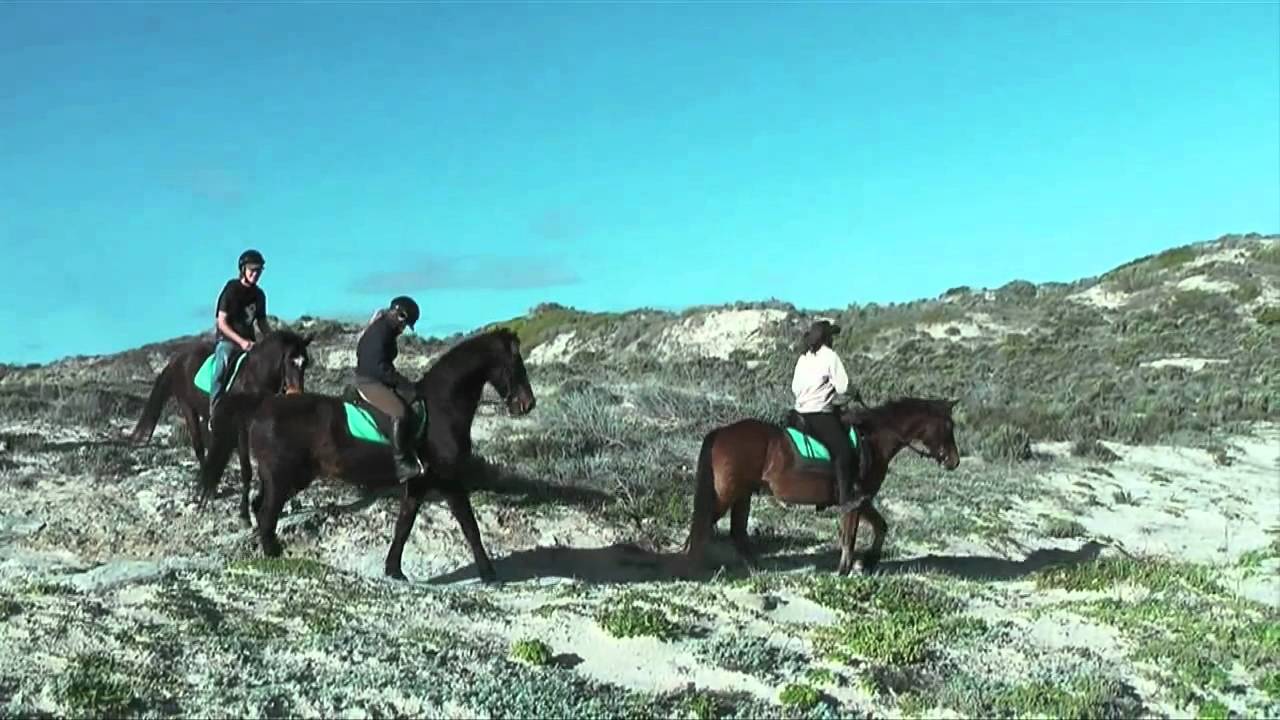 Horse Riding South Africa - Horseback riding in Gansbaai