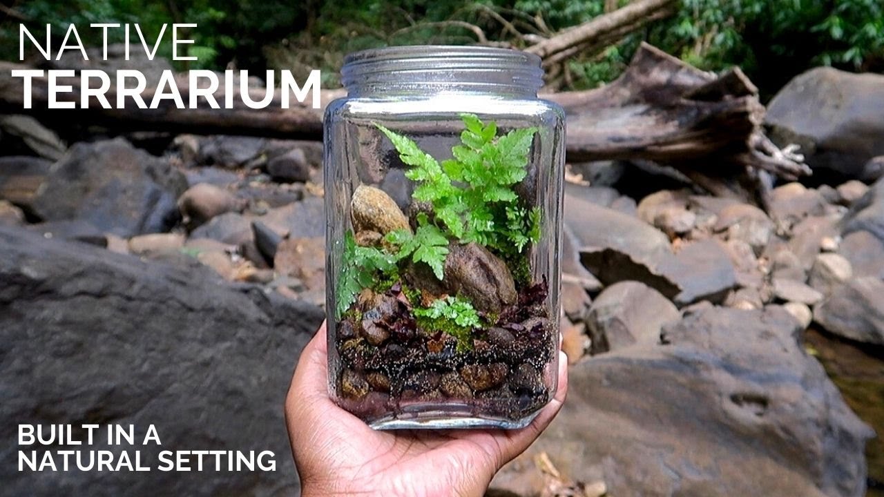 Native terrarium built in a natural setting