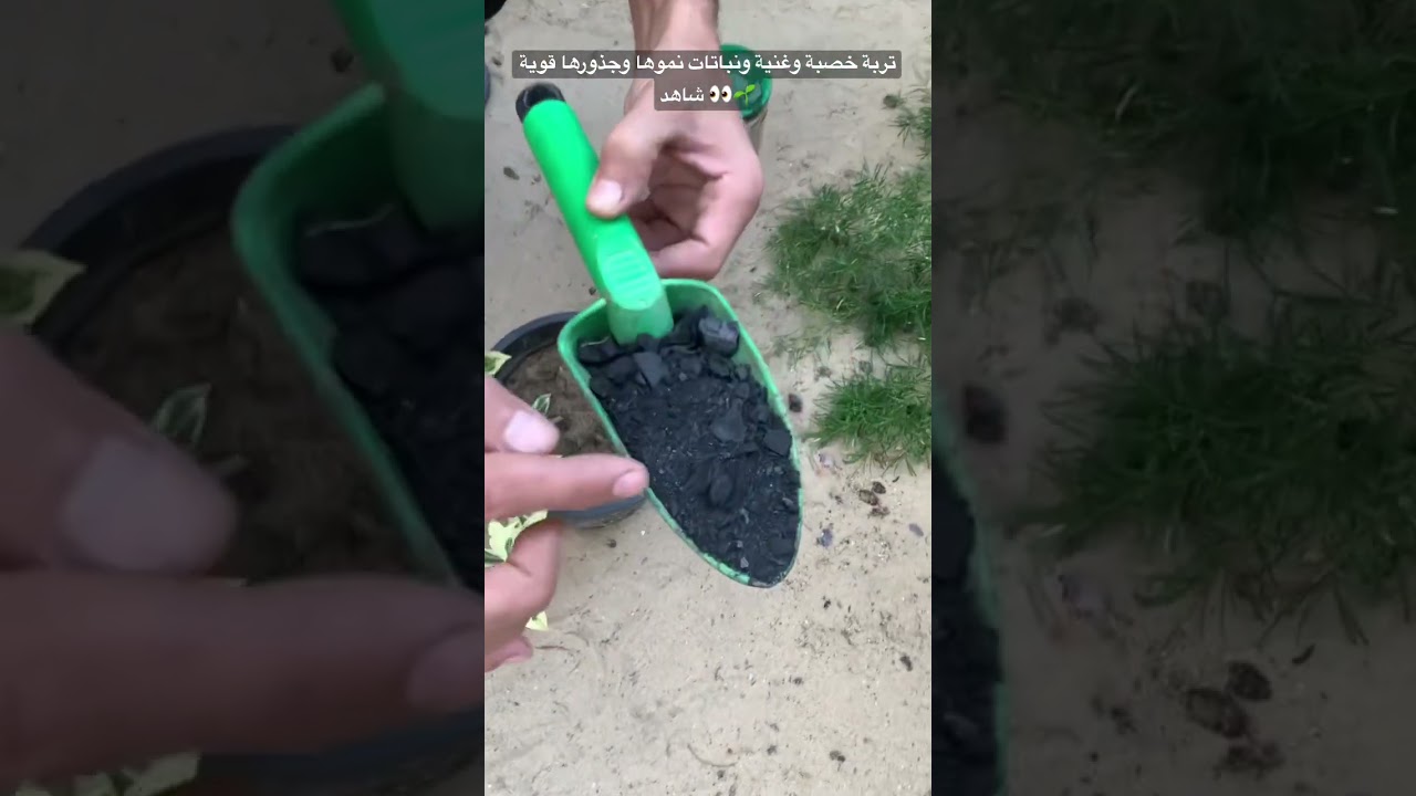 عاوز تربة خصبة وغنية ونباتات جذورها ونموها قوي وسريع بدون آفات ونمل 🌱 #زراعة  #agriculture #shorts
