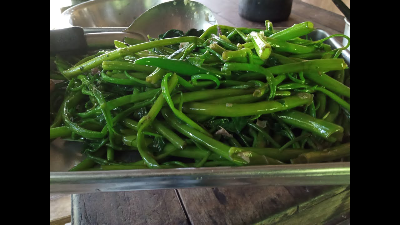 ผักบุ้ง ปลูกครั้งเดียวเก็บกินทั้งปี