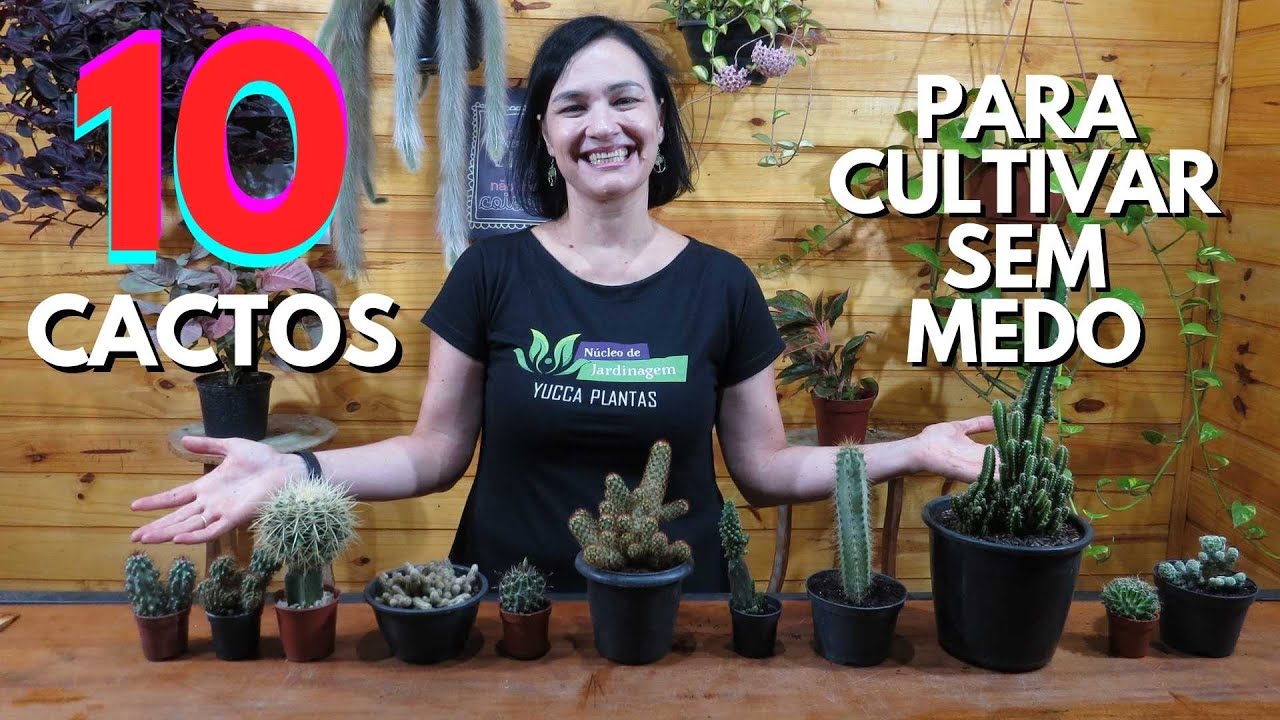 10 cactos para cultivar SEM MEDO!
