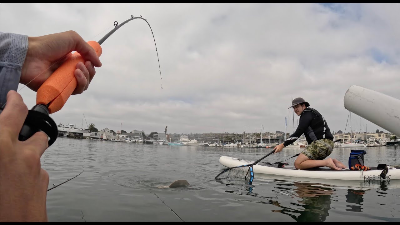 San Diego Bay Float Tubing with Live Smelt | Slower Day
