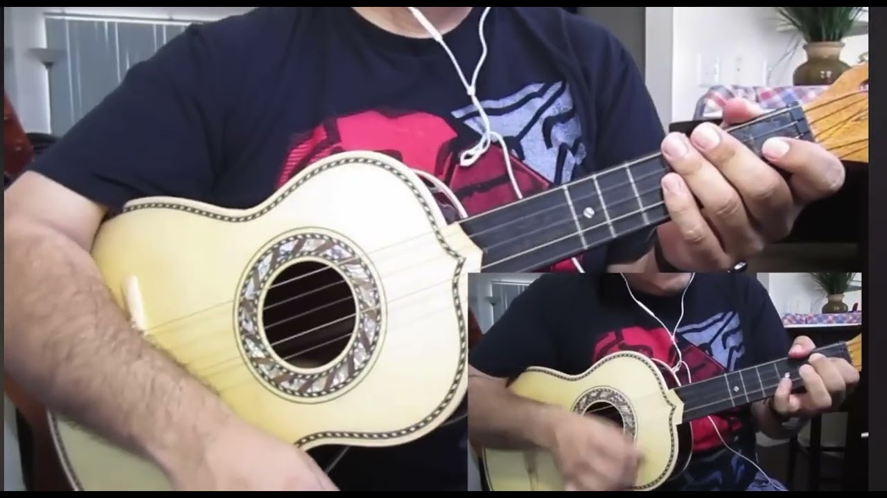 Vihuela - Solo De Cascabel - Mariachi Vargas 