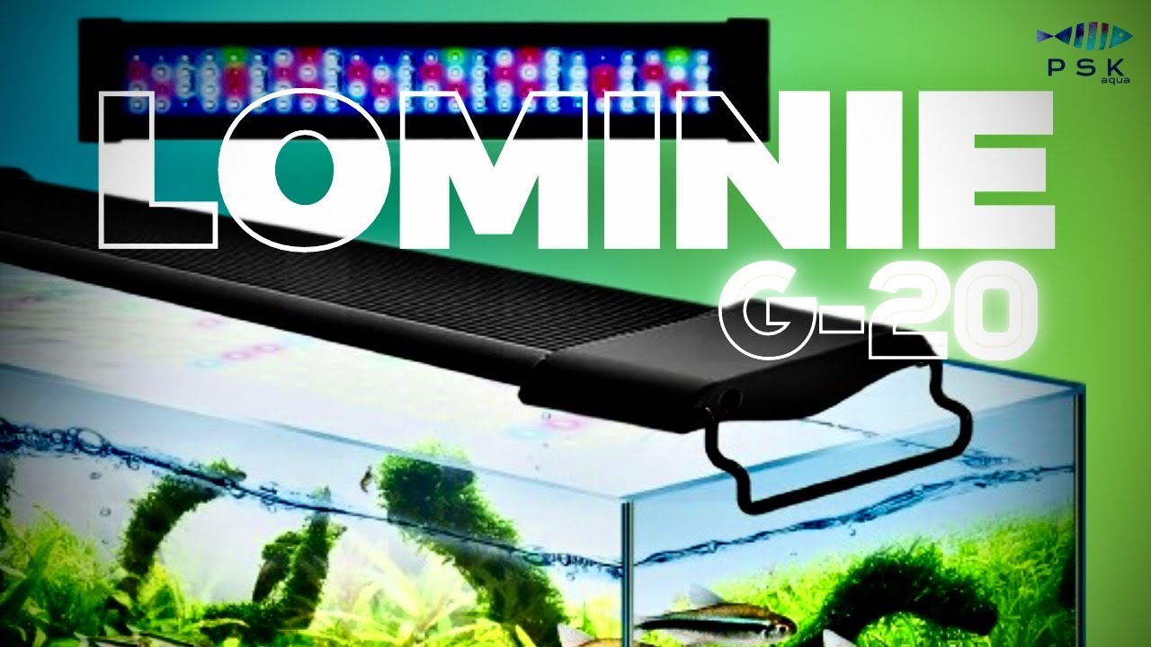 LIGHT WITH EXCELLENT QUALITY/PRICE RATIO - LOMINIE G-20 | Unboxing and set up | PSKAQUA