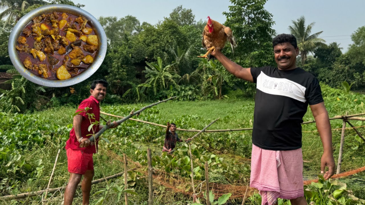 3kg600 ওজনের মুরগি কেটে রান্না সঙ্গে জমিয়ে খাওয়া দাওয়া ||