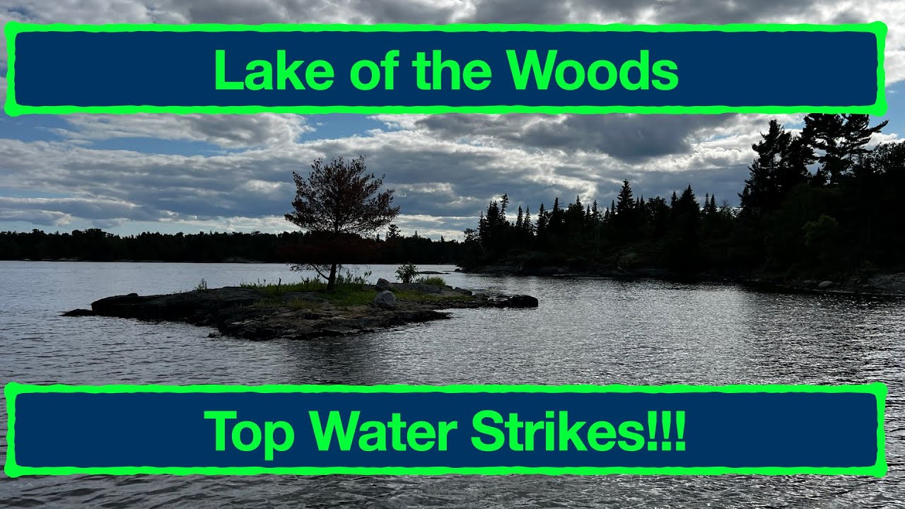 Musky Fishing - Lake of the Woods : With Topwater Strikes!