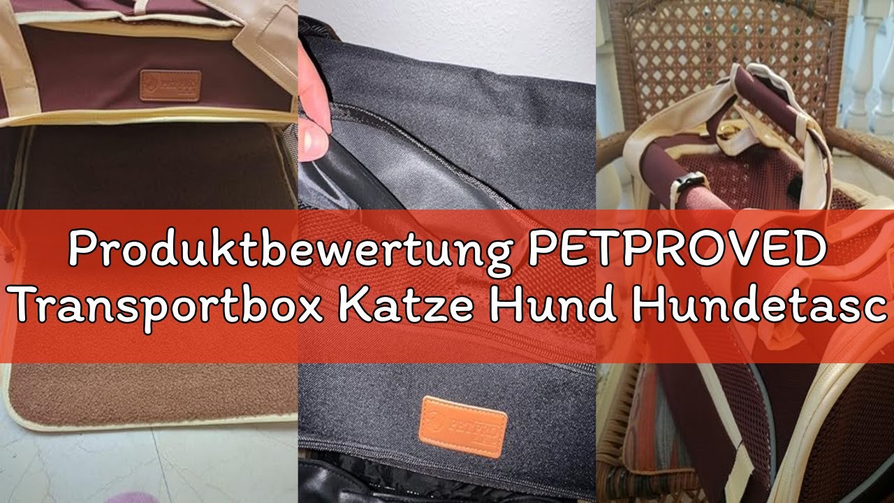 Produktbewertung PETPROVED Transportbox Katze Hund Hundetasche für Kleine Hunde Katzentransportbox K