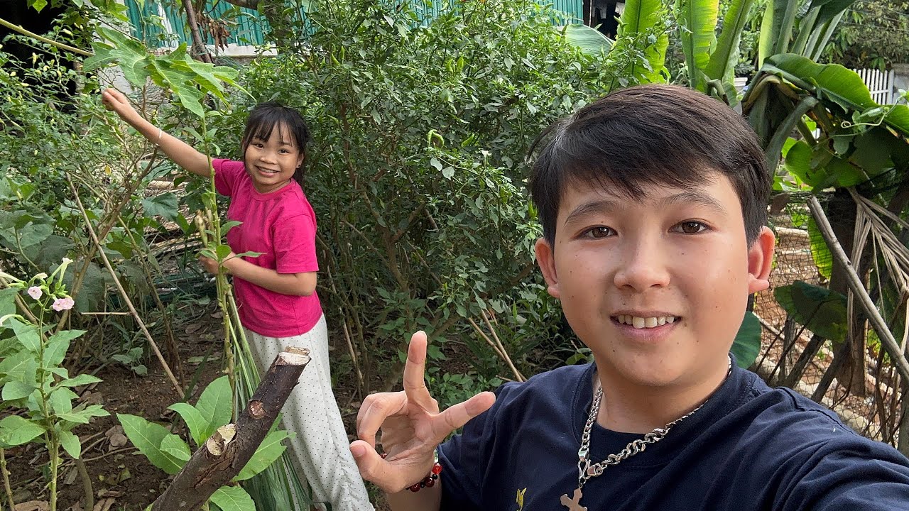 Cặp Đôi Hoà Tiêu Đi Thăm Vườn Hàng Xóm Và Món Ốc Xào Sả Ớt Siêu Ngon 