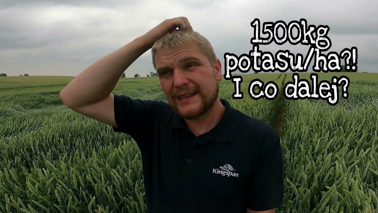 Analiza wyników prób glebowych. Średnie zawartości ile to tak naprawdę jest?