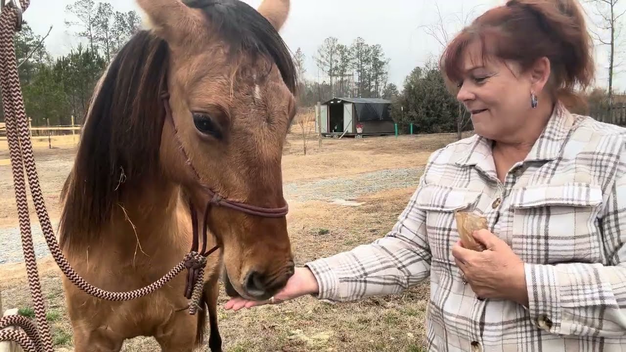 Equine therapy with Georgia