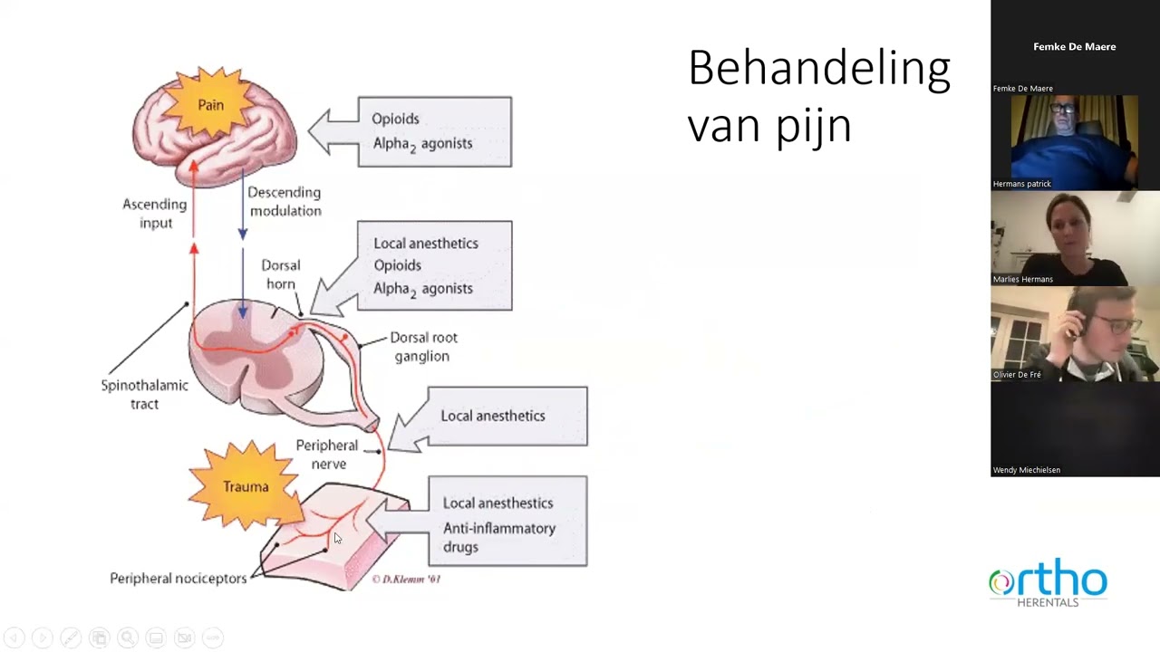 Ortho Academy 5/10/2022 -  dr  Anne van Riet - 