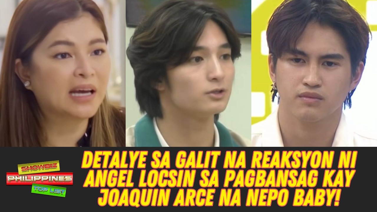 DETALYE sa galit na reaksyon ni Angel Locsin sa pagbansag kay Joaquin Arce na NEPO BABY