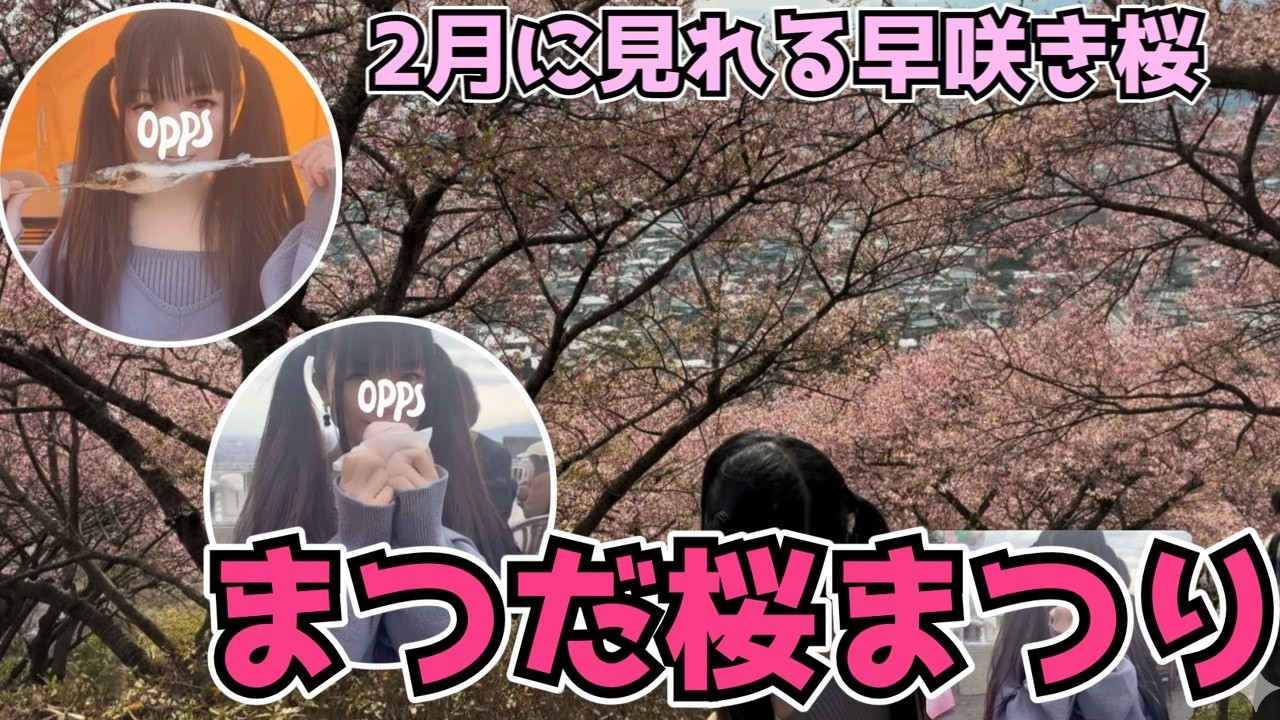 2月に満開♡まつだ桜まつり行ってみた【VLOG】