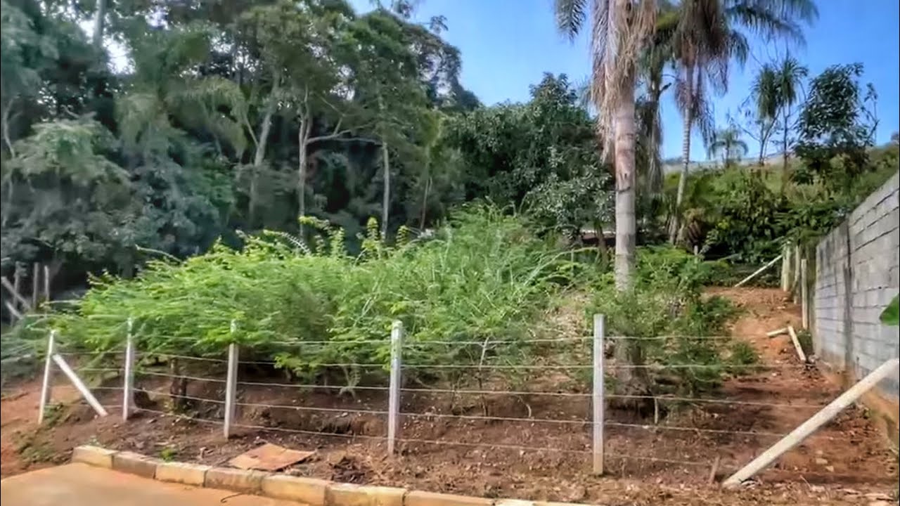 COMO CRIAR UM VIVEIRO DE BONSAI - PT 6