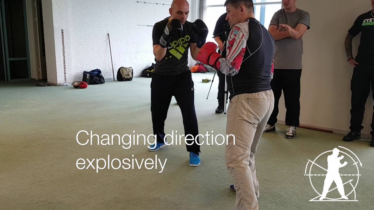 IZVOR Seminar Holland 2016 Fist Fighting