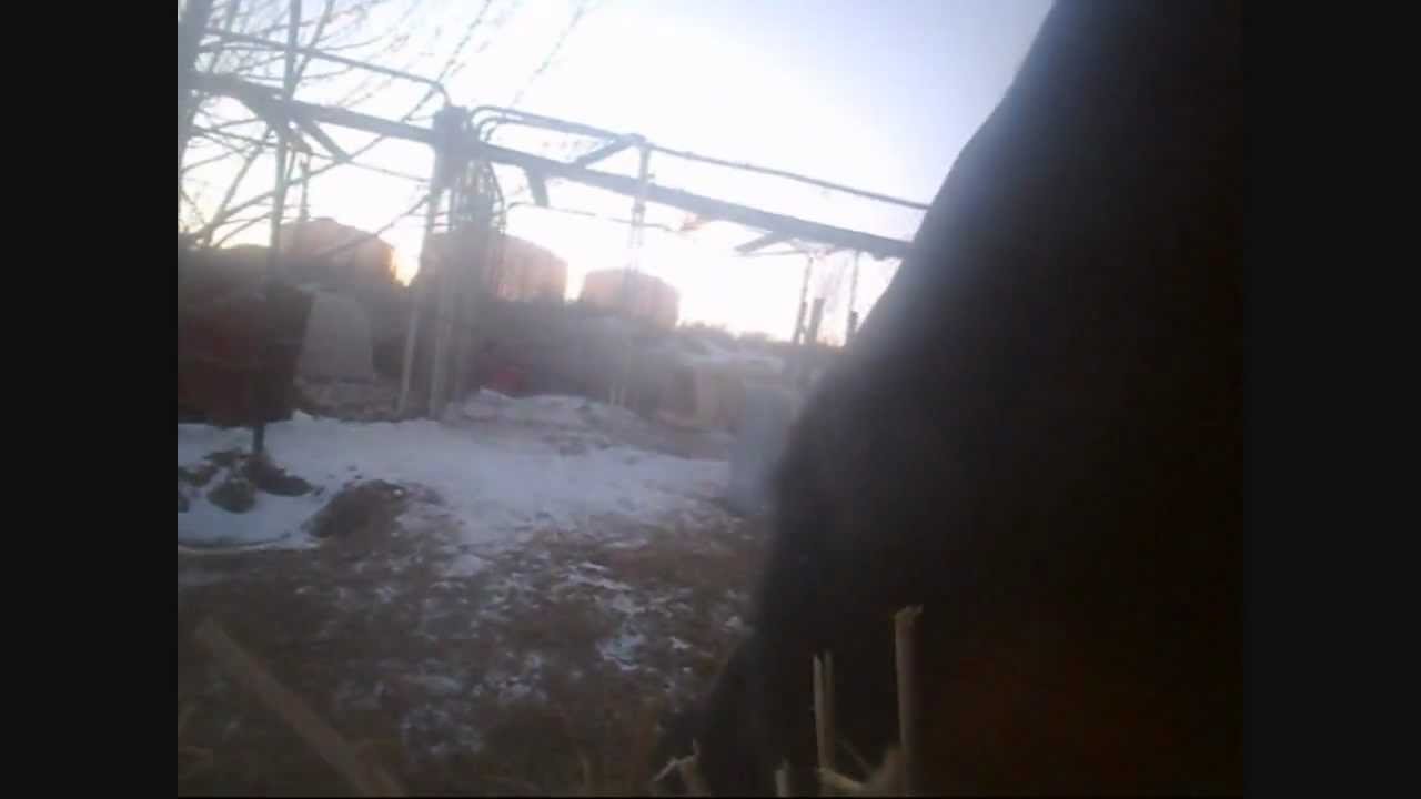 Dog eats my camera on video