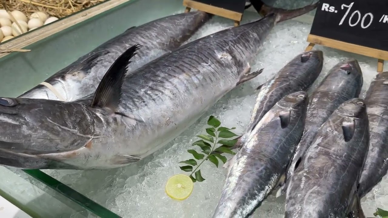 Macchiwala Best Hygienic Fish Mall In Nashik