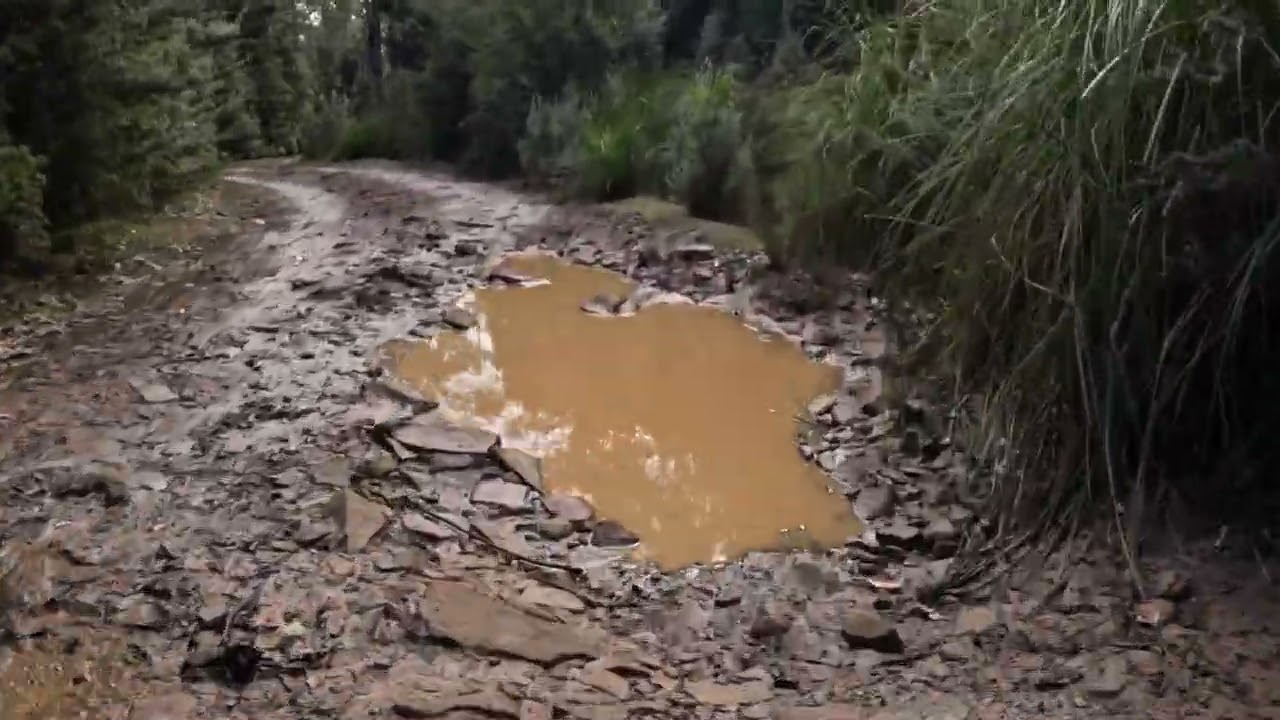 Jefferys Track Tasmania 2024