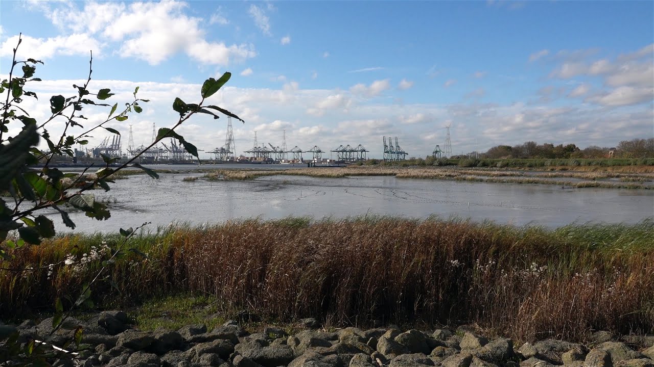Wandelen, Antwerpen, Lillo, Potpolder
