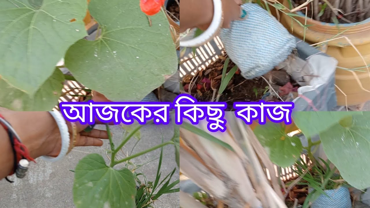 আজ কি কাজ করলাম চলুন একটু দেখে নিই।