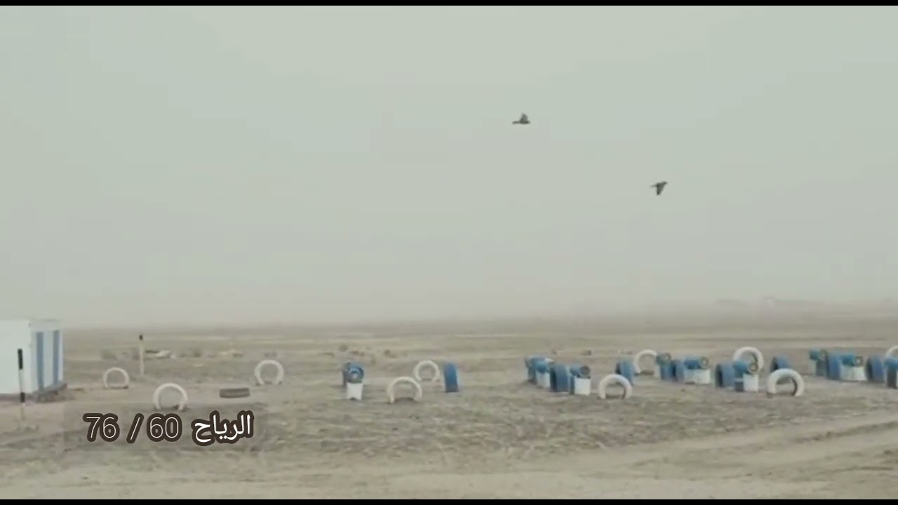اطيار من العيار الثقيل  عنبريه  ام الكومه  وابوها  طاير كدامها    حمام وسام المنصوري  ياعيني  ابطال