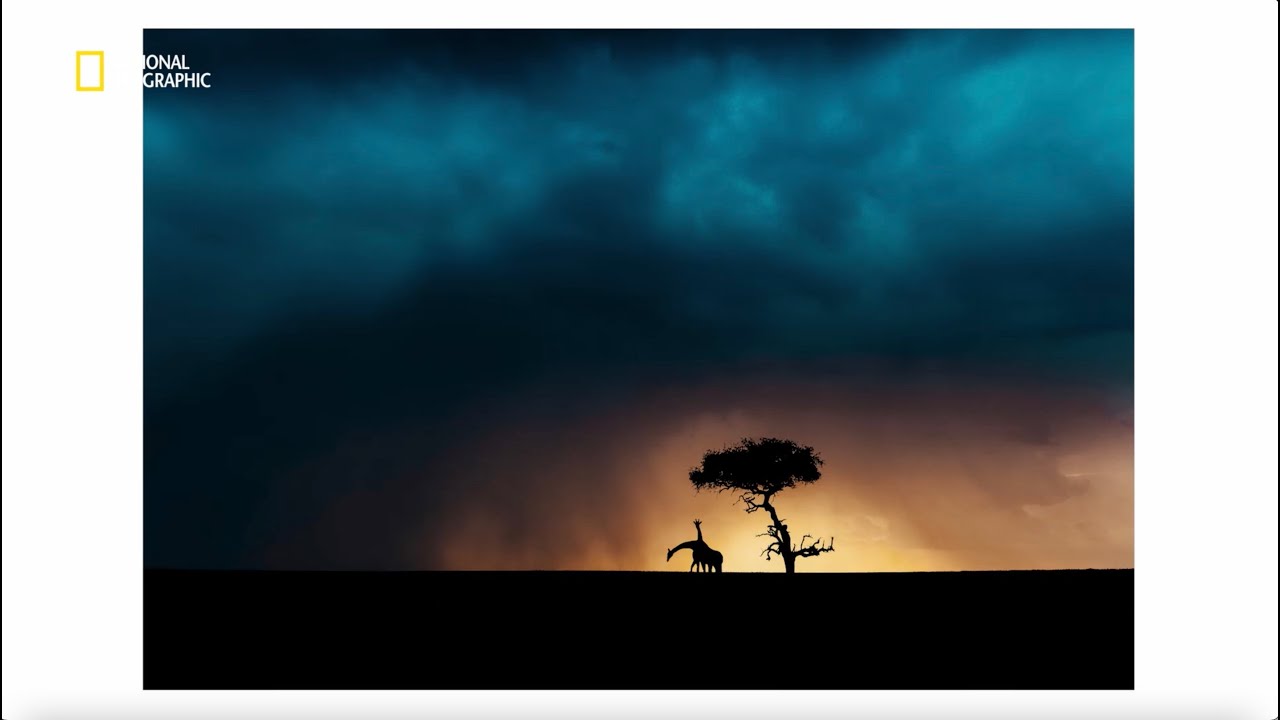 National Geographic Fotowedstrijd 2022 | Webserie Klik Verder | Aflevering 2 - Dieren