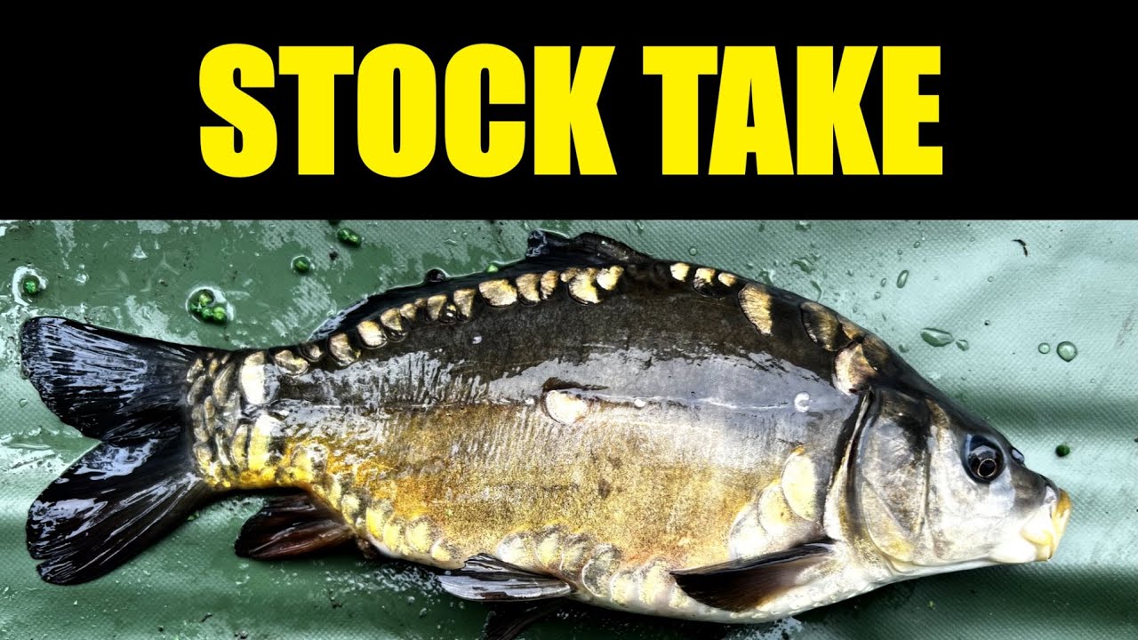 Stock Take - First time fishing at Hednesford Angling Society Pools