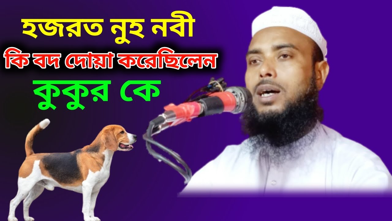 Maulana Anamul Haque 🌷নূহ নবী কুকুরকে কি বদ দোয়া দিয়েছিলেন। S Ahmed Media