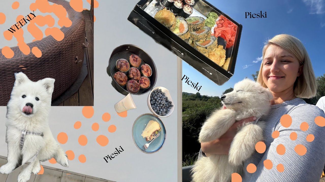 WEEKLY/ szybkie dania 🌮 i pieski pieski pieski 🐕 