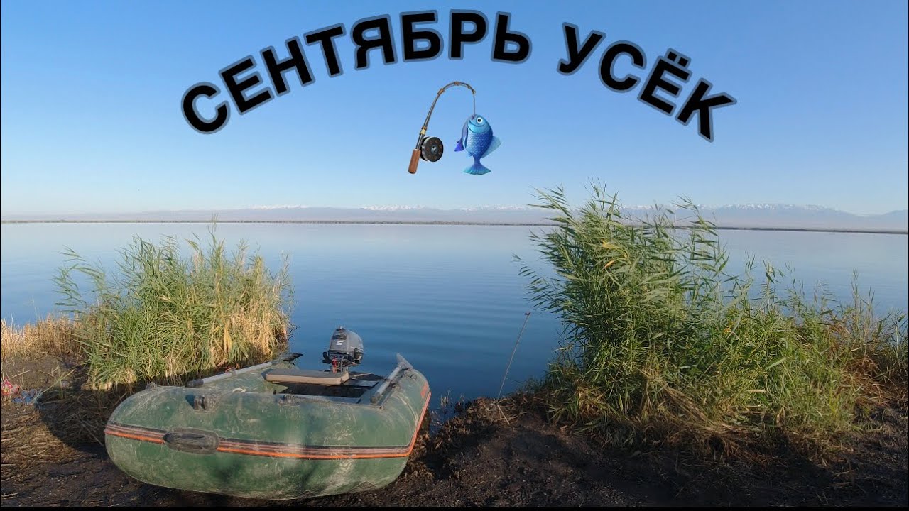 Усекское озеро. Сазан карась судак