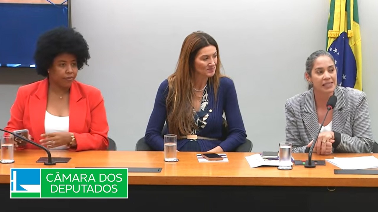 Eleição para cargo de Coordenadora do Eixo III do ONMP - Secretaria da Mulher - 25/02/2026