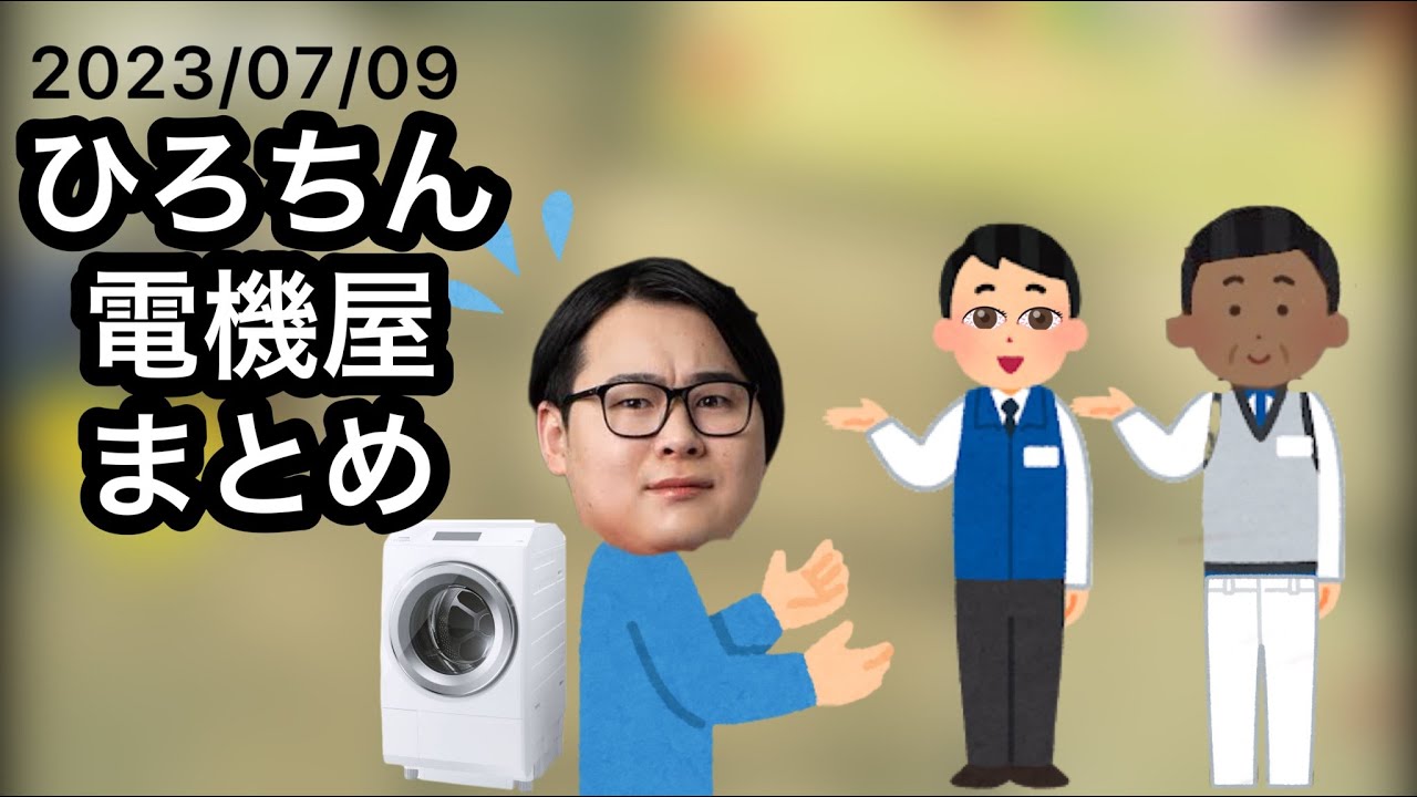 【ひろちん切り抜き】人生初の値切りに挑戦したひろちんくんまとめ【雑談/LOST EGG3】