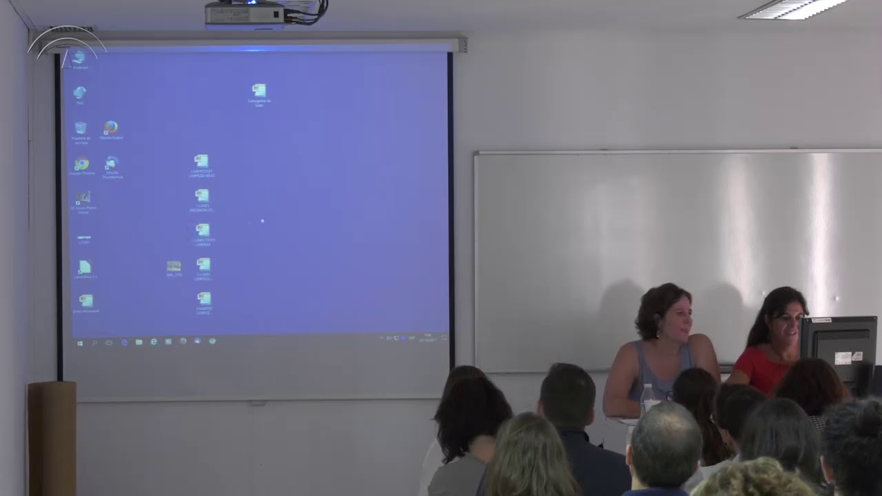 Formación IAPH: Limpieza en tratamientos de conservación-restauración de tejidos