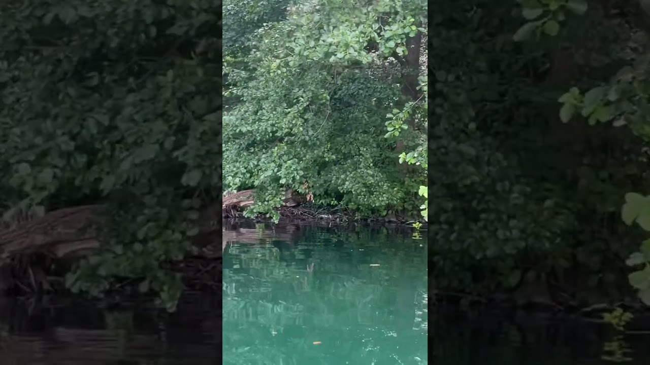 Łag&oacute;w - Perła Ziemi Lubuskiej