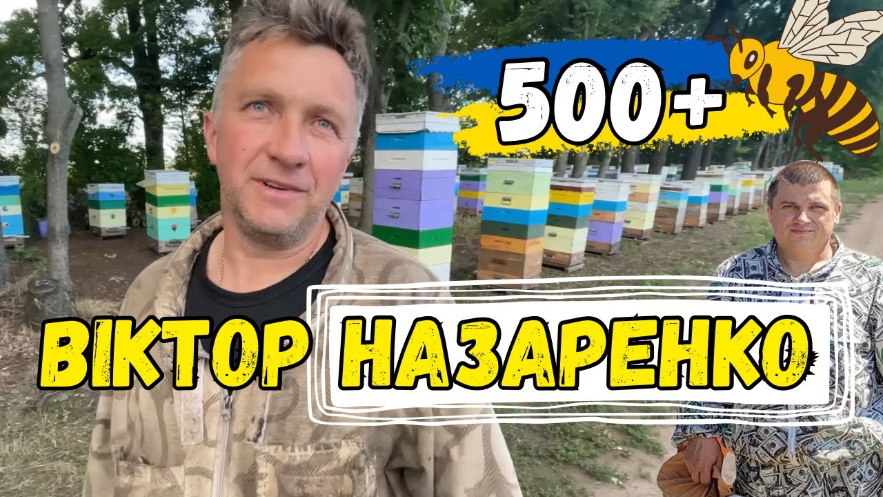 Віктор Назаренко - 500+ 🐝 Пилок до 3х тон в рік 🐝 Прямий Ефір 21.01.2024
