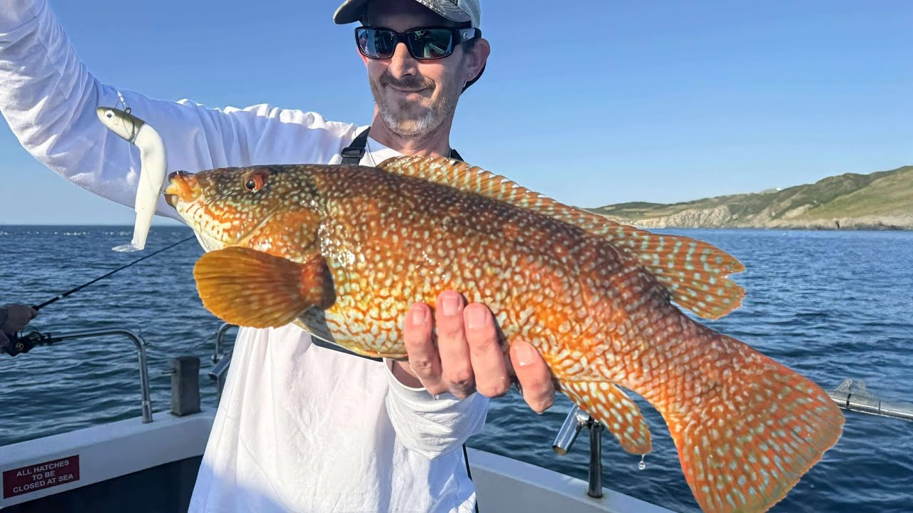 LURE FISHING NORTH DEVON'S INSHORE REEFS / Boat Fishing UK