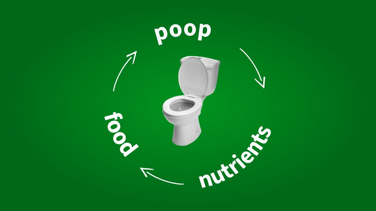 Let's close the toilet nutrient gap! - ft. Goldeimer, netsan