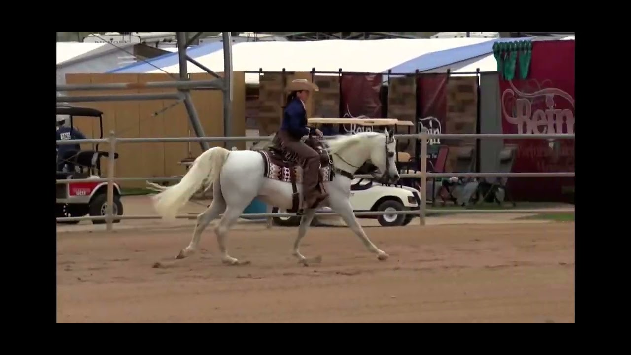 2023 Scottsdale Arabian Show - PB Ranch Riding AATR 19-49 TA Eurostar+//