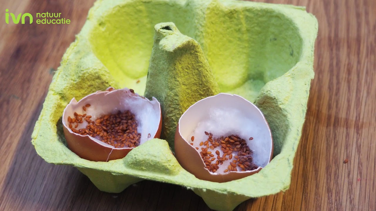 Doe-tip: Tuinkerseitje