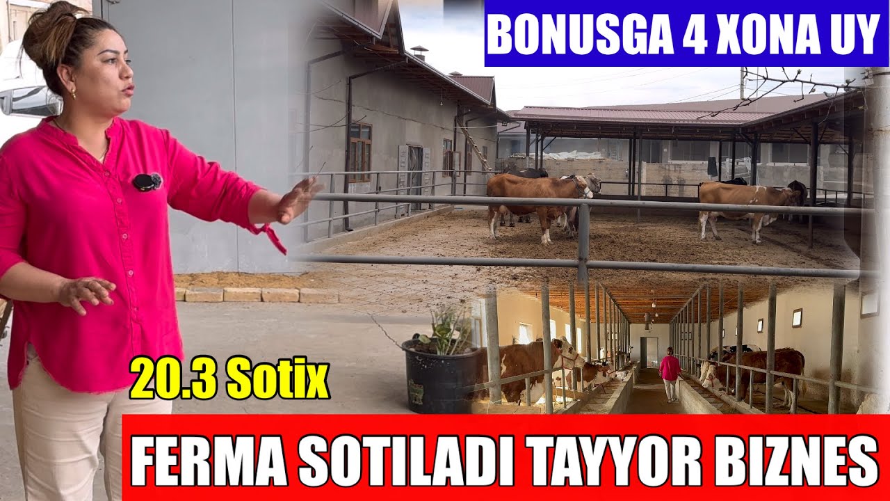 TOSHKENTDA FERMA SOTILADI BONUSIGA 4 xona UYI ICHIDA. TAYYOR BIZNES. FERMA YER XISOBIDA SOTILADI.