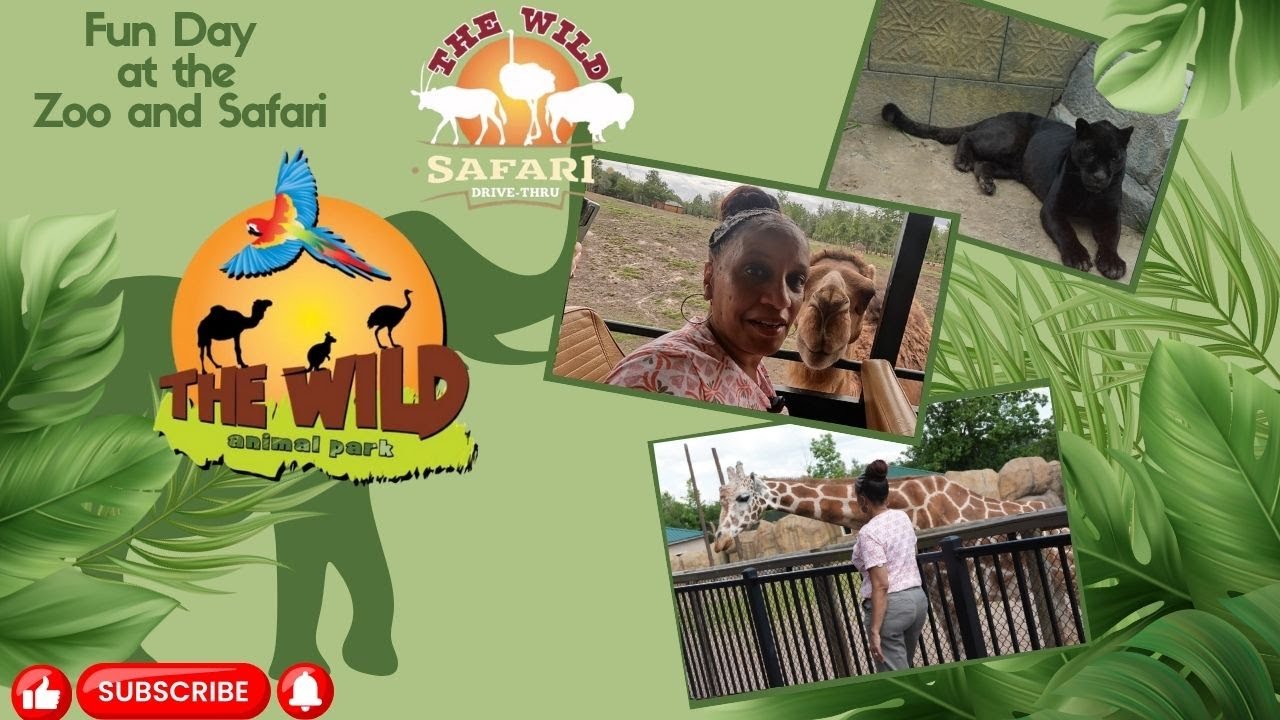 The Wild Animal Park | The Wild Safari Drive-Thru | Camel Grabs Cup | #safari  | #zoo| #safari_park