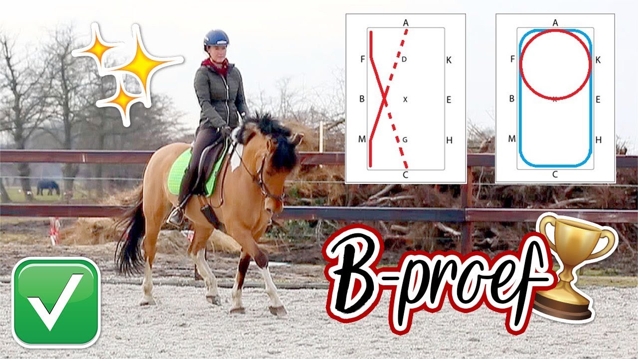 Zo rijd je een succesvolle B-proef! | felinehoi