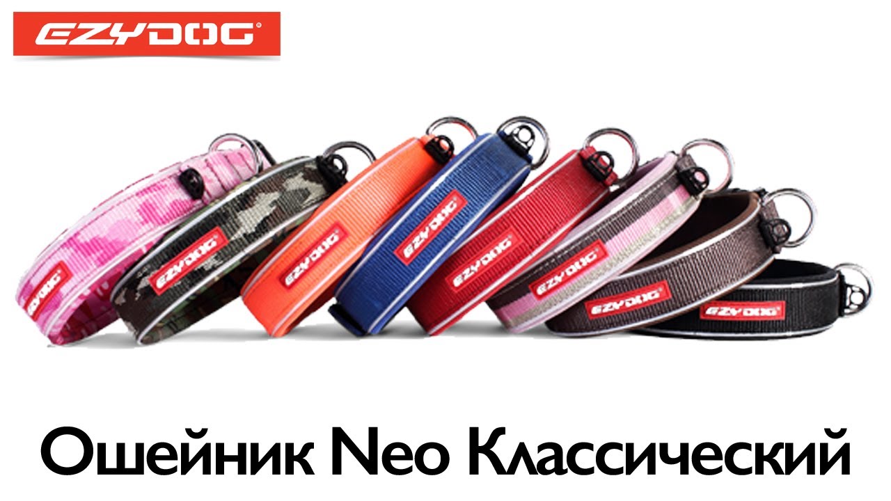 EzyDog | Ошейники Neo Классический