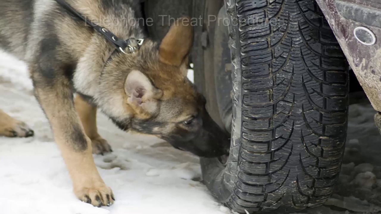 Professional Security, Consultancy & Training Services UK - C4 Resilience