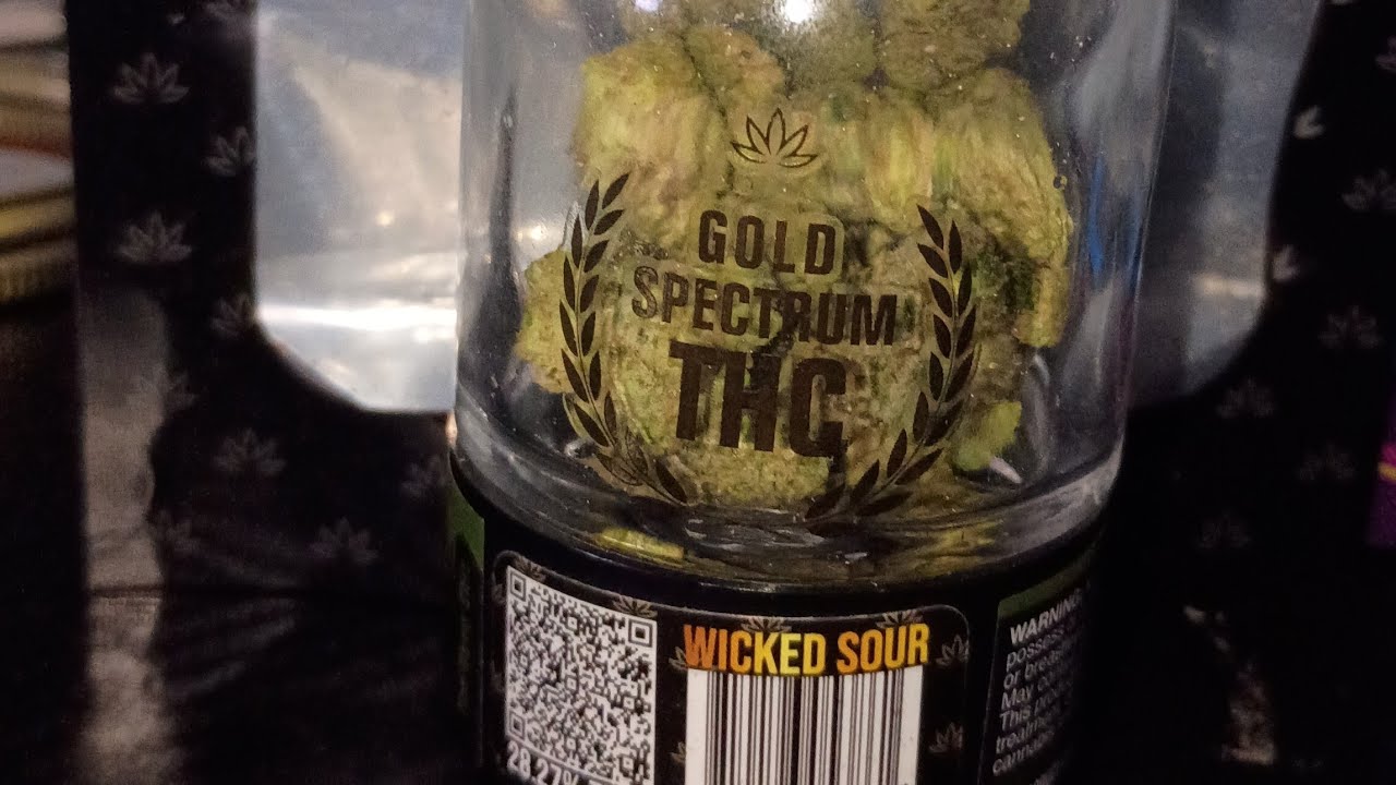 WICKED SOUR STRAIN REVIEW FROM GOLD SPECTRUM