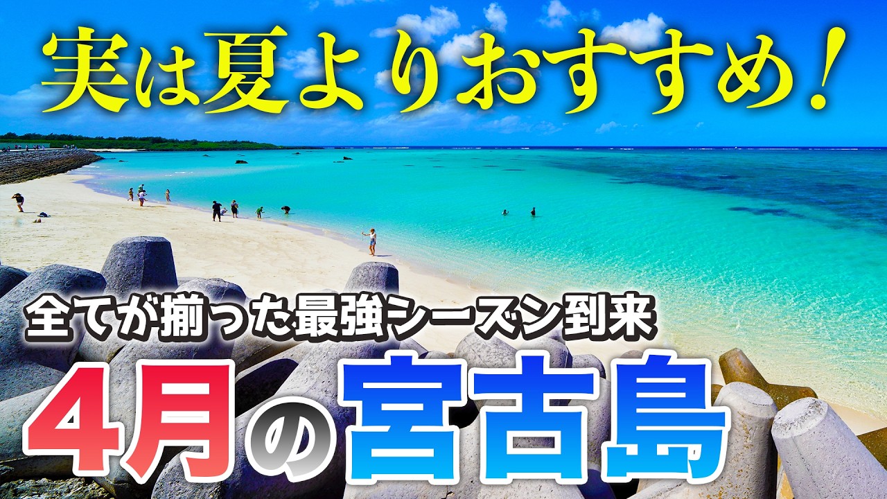 【4月の宮古島】台風も梅雨もない最強シーズン‼️2025年最新基本情報まとめ／天気・海水浴・混雑状況・服装・イベント・最新グルメや注意点もまとめて紹介⚠️ちゅーとり店長決定👻✨